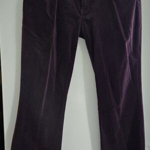 Eddie Bauer Rich Eggplant Velvet Jeans